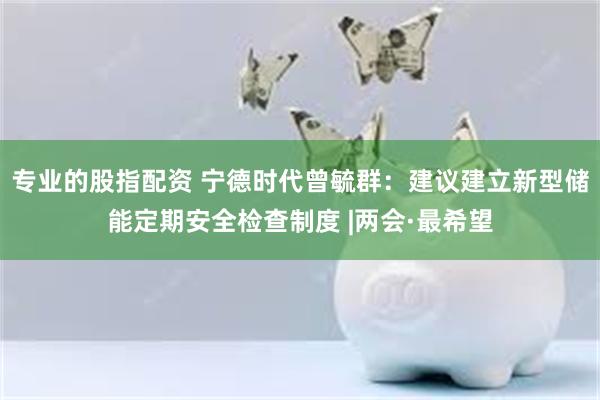 专业的股指配资 宁德时代曾毓群：建议建立新型储能定期安全检查制度 |两会·最希望