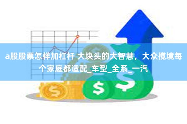a股股票怎样加杠杆 大块头的大智慧，大众揽境每个家庭都适配_车型_全系_一汽
