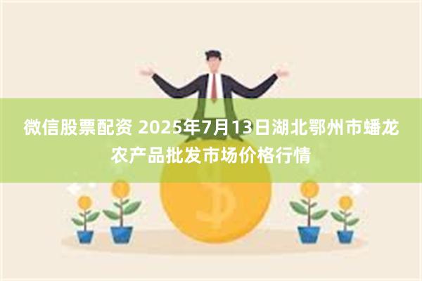 微信股票配资 2025年7月13日湖北鄂州市蟠龙农产品批发市场价格行情
