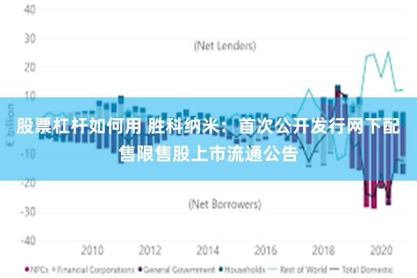 股票杠杆如何用 胜科纳米：首次公开发行网下配售限售股上市流通公告