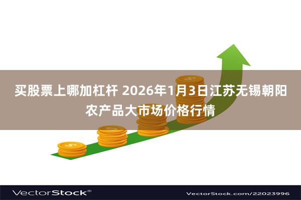 买股票上哪加杠杆 2026年1月3日江苏无锡朝阳农产品大市场价格行情